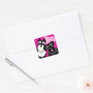 Sticker Carré Deux mignons Schnauzers
