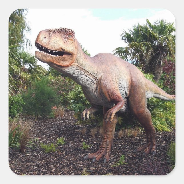 Sticker Carré Dinasaur (Devant)