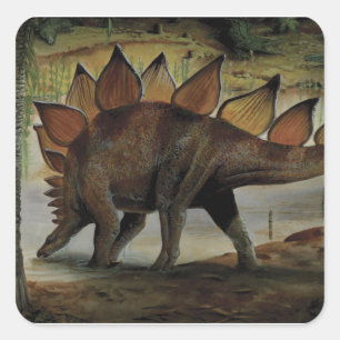 Sticker Carré Dinosaures Vintage, Stégosaure, Queue avec des poi