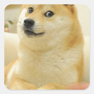 Sticker Carré Doge