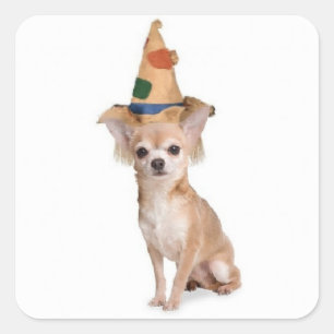 Sticker Carré Dogs~Original Ditzy Sticker~Chihuahua~Halloween