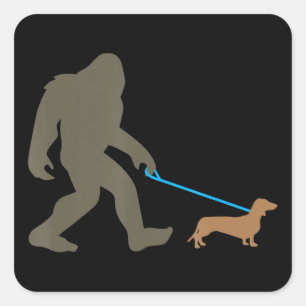 Sticker Carré Don de chien   Bigfoot Walking Dachshund