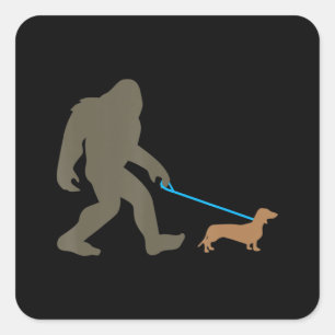 Sticker Carré Don de chien   Bigfoot Walking Dachshund