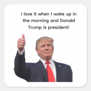 Sticker Carré Donald Trump 2024