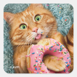 Sticker Carré Donateur mangeant des chats
