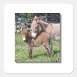 Sticker Carré Donkey et Baby