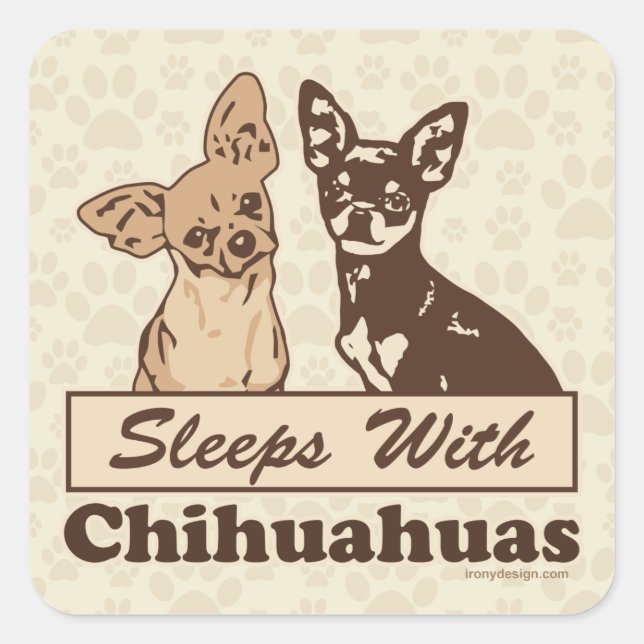 Sticker Carré Dors Avec Chihuahuas (Devant)