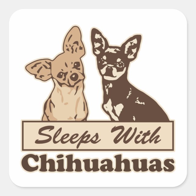 Sticker Carré Dors Avec Chihuahuas (Devant)