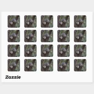 Sticker Carré Double difficulté dans la canopée : Sommes jumelle