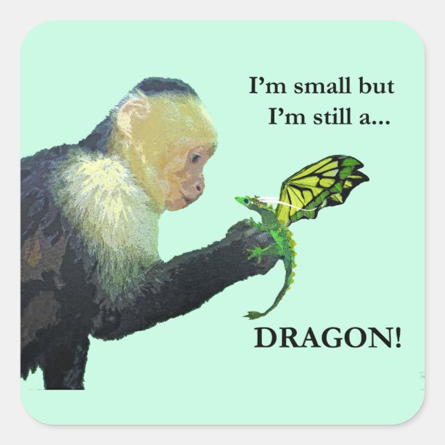 Sticker Carré Dragon et singe (Devant)