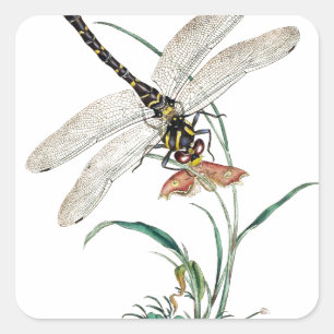 Sticker Carré Dragonfly Magic
