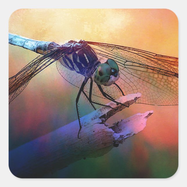 Sticker Carré DRAGONFLY ROSE ET OR DUSK.jpg (Devant)