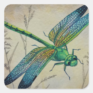 Sticker Carré Dragonfly vintage no 3 et Grass Watercolor Art