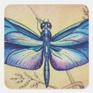 Sticker Carré Dragonfly vintage no 6 et Grass Watercolor Art