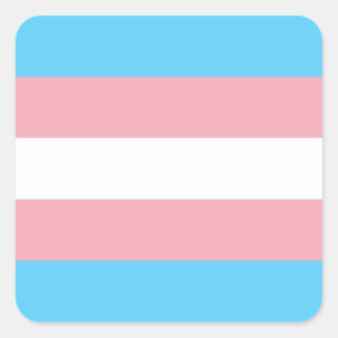 Sticker Carré Drapeau de fierté de transsexuel