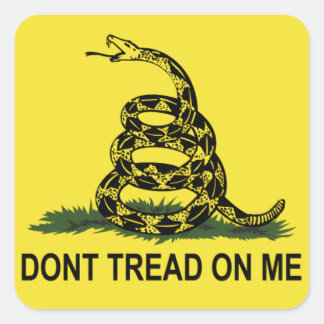 Sticker Carré Drapeau de Gadsden