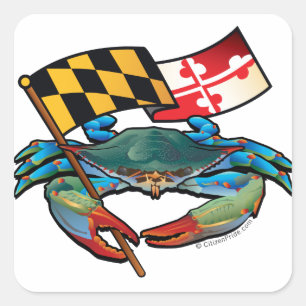 Sticker Carré Drapeau du Maryland de crabe bleu