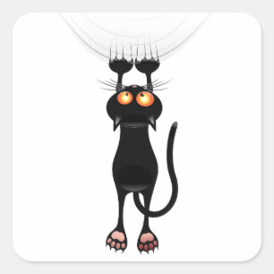 Sticker Carré Drôle Accrocher sur le chat