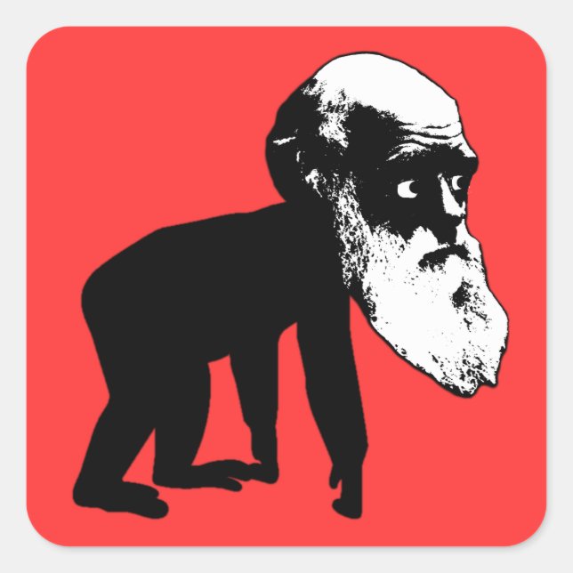 Sticker Carré Drôle évolution Darwin (Devant)