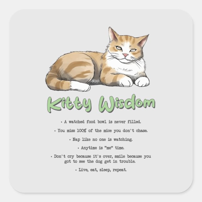 Sticker Carré Drôle Kitty sagesse (Devant)