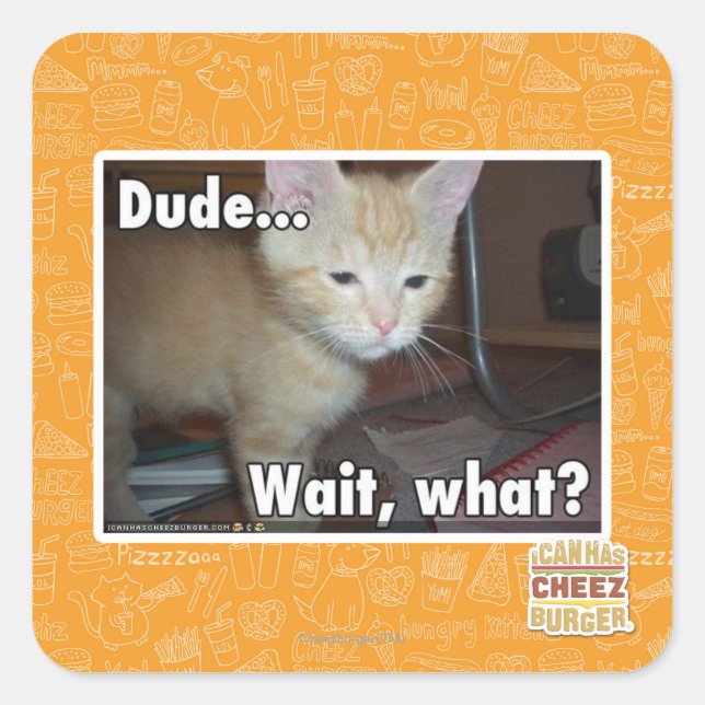 Sticker Carré Dude (Devant)