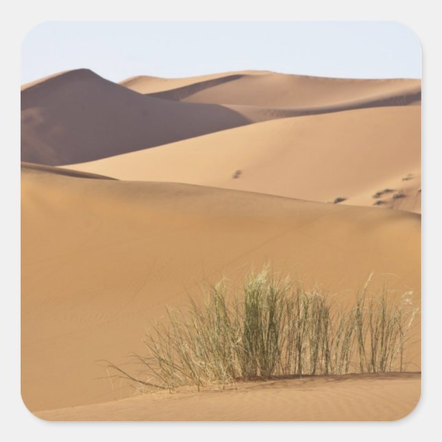 Sticker Carré Dunes de sable, désert du Sahara, Maroc (Devant)