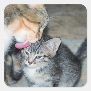 Sticker Carré Durée du bain