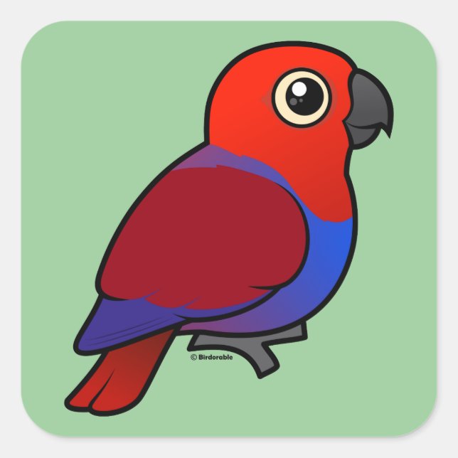 Sticker Carré Eclectus Parrot femelle (Devant)