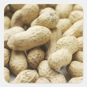 Sticker Carré Écrous de singe