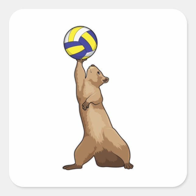 Sticker Carré Écureuil avec volleyball (Devant)