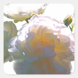 Sticker Carré Elégant blanc pêche orange roses
