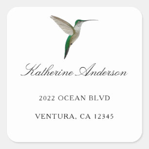 Sticker Carré Elegant Hummingbird Adresse