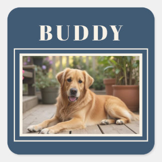 Sticker Carré Elegant Navy Blue Dog Pet Photo 