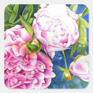 Sticker Carré Elégant rose blanc classique aquarelle floral