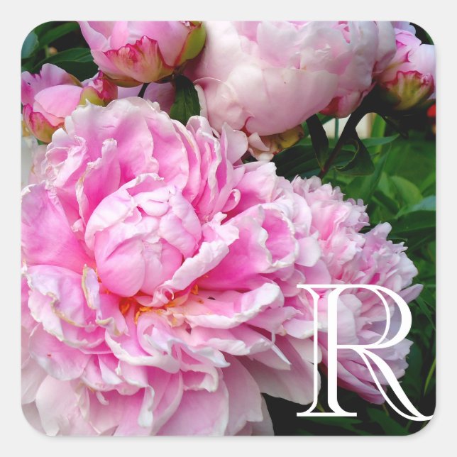 Sticker Carré Elégant rose peony blanc floral jardin photo (Devant)