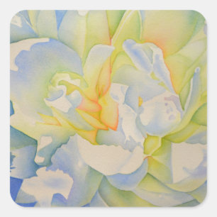Sticker Carré Elégante aquarelle fleurie de pivoine blanche