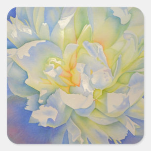 Sticker Carré Elégante aquarelle fleurie de pivoine blanche