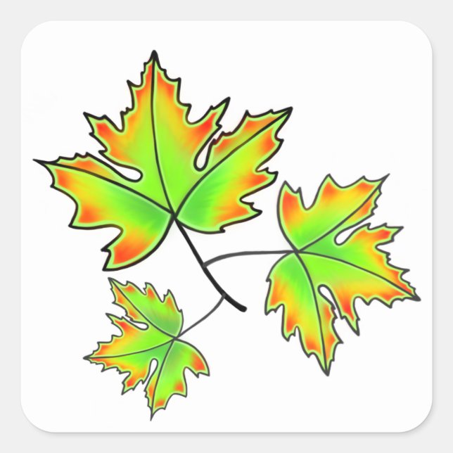 Sticker Carré Elégante feuille d'automne vert rouge jaune Feuill (Devant)