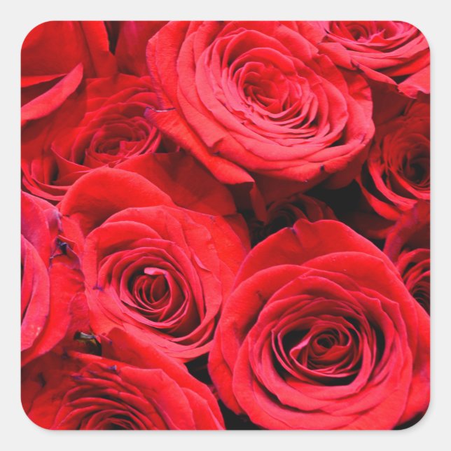 Sticker Carré Elegantes roses rouges ed photo florale  (Devant)