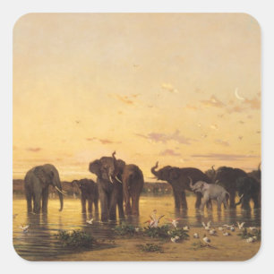 Sticker Carré Eléphants africains