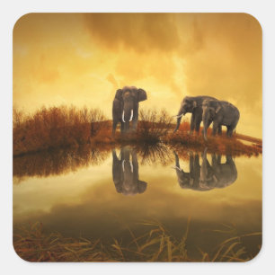 Sticker Carré Eléphants asiatiques en Thaïlande sous un coucher 