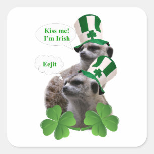 Sticker Carré Embrasse-moi Je suis un meerkat design irlandais