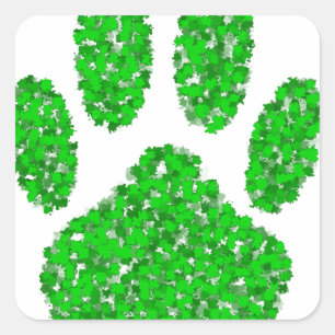 Sticker Carré Empreinte de patte de chien de feuillage vert