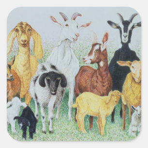 Sticker Carré En Clover