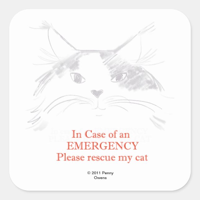 Sticker Carré En coque d'urgence - S'il vous plaît secourir mon  (Devant)