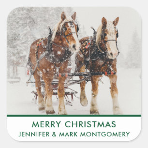 Sticker Carré Équipe de Belgique de cheval Wintery Christmas Sce
