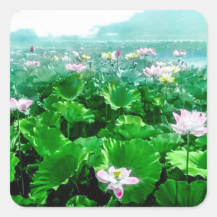 Sticker Carré Étang de Lotus vintage de Japonais vieux Japon