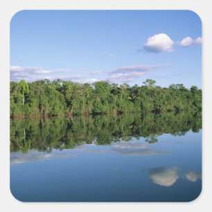Sticker Carré Etat du Mato Grosso, Amazon, Brésil. Forestier