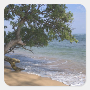 Sticker Carré États-Unis, Hawaï, Kauai, paysage de plage. RF)