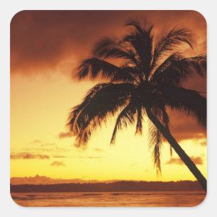 Sticker Carré États-Unis, Hawaï, Maui, Coucher de soleil coloré 